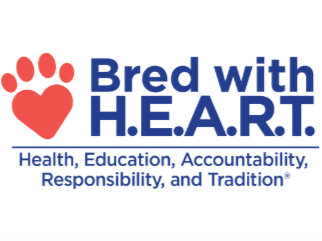 bread with h.e.a.r.t nursery home shih tzu