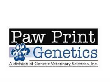 pawprints genetics nursery home shih tzu