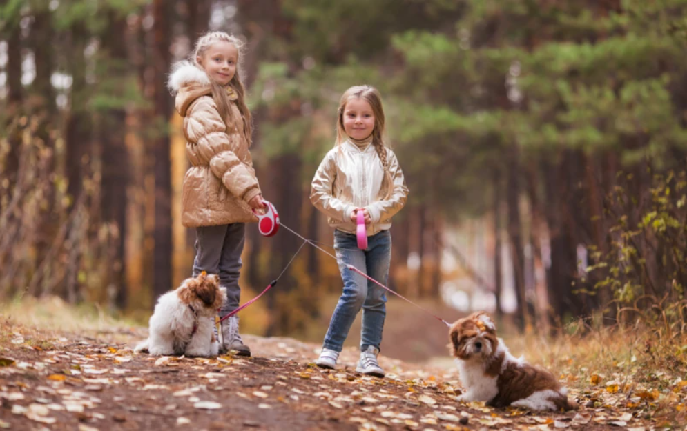 screenshot 2026 02 20 133145