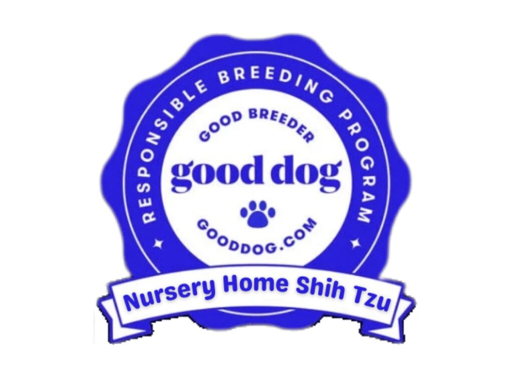 created by background eraser