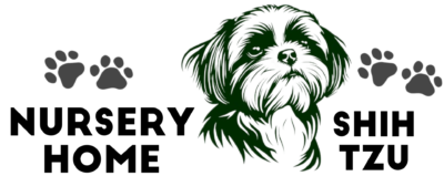 nursery home shih tzu 19