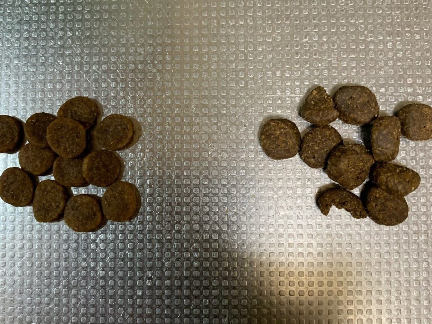 YOUR SHIH TZU'S PROPER NUTRITION